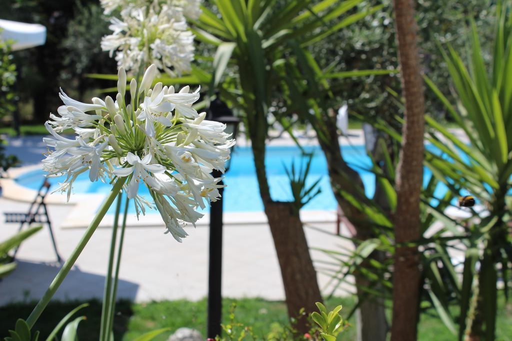Villa Orchidea Luxury B&B Испика Экстерьер фото